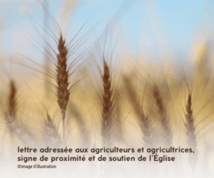 Lettre des évêques aux agriculteurs à l’occasion du Salon de l’agriculture 2026